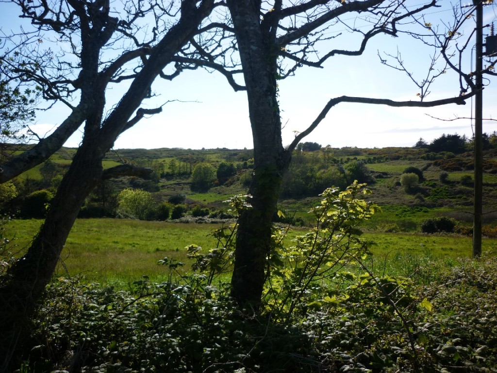 P1040367 Beacon Property Management Baltimore